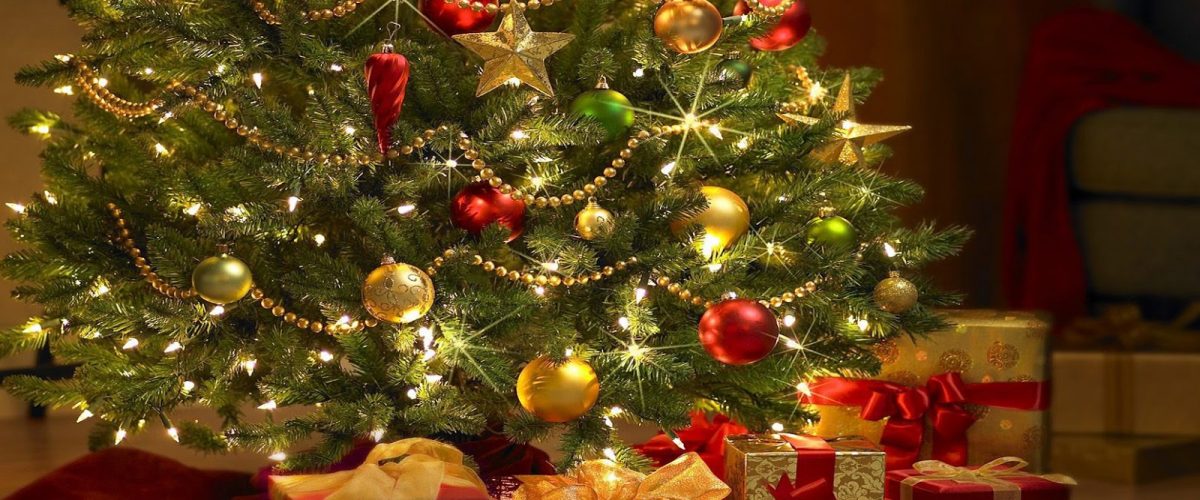 Discover our 2016 Christmas Menu
